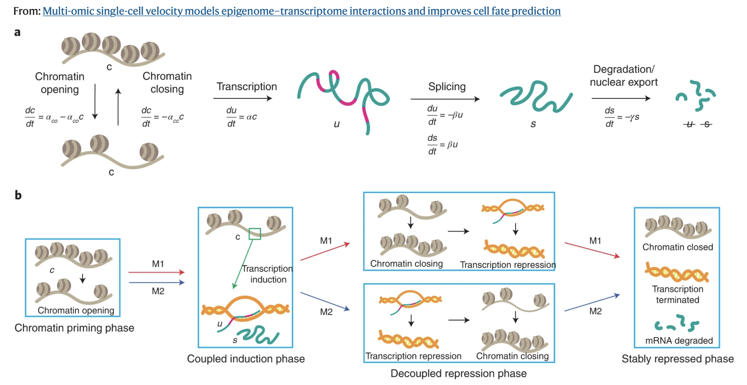 Li et al Figure 1