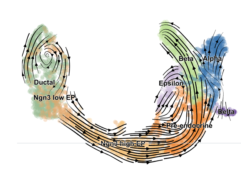Bergen et al Figure 3A