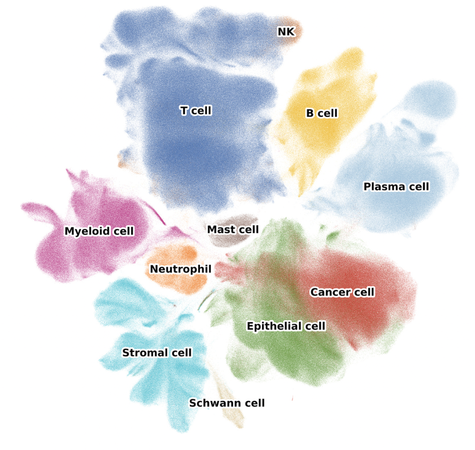 CRC UMAP