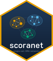 scoranet hex logo